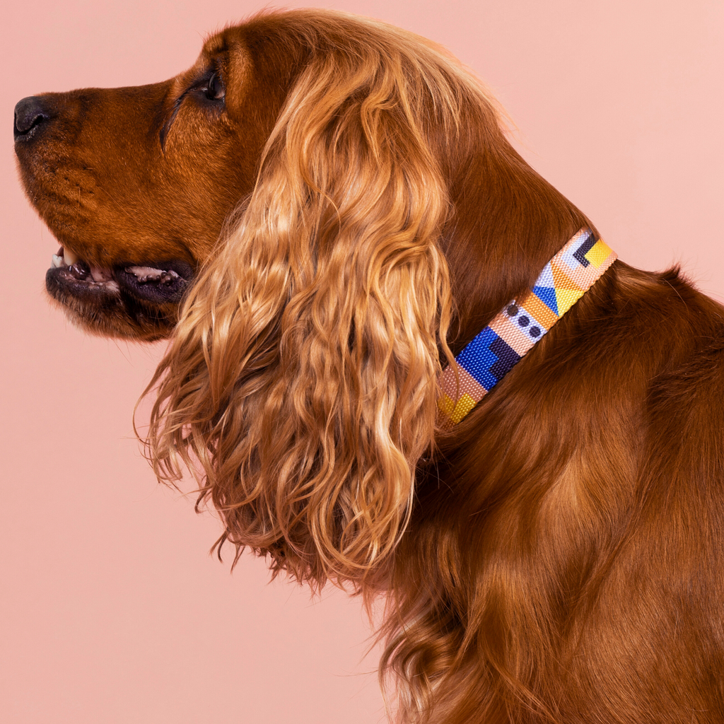 Fur Sie Collar para perros - Una