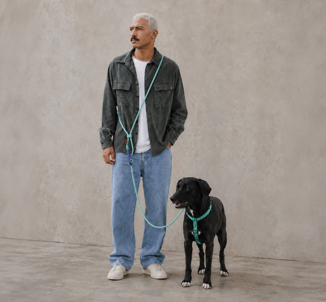 Zee.Dog – Velvet Vibes Green – Hands-Free Leash