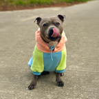 Spark Paws - Sudadera con Capucha - Color Block