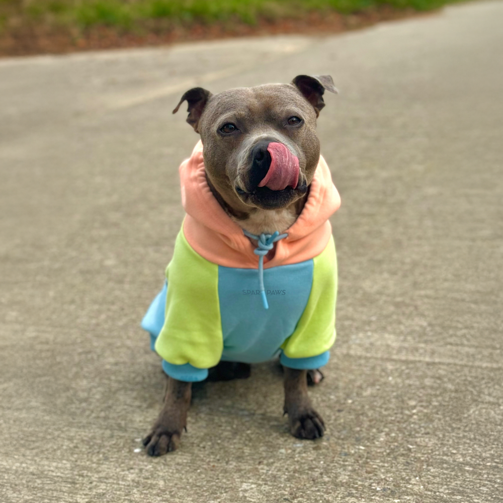 Spark Paws - Sudadera con Capucha - Color Block
