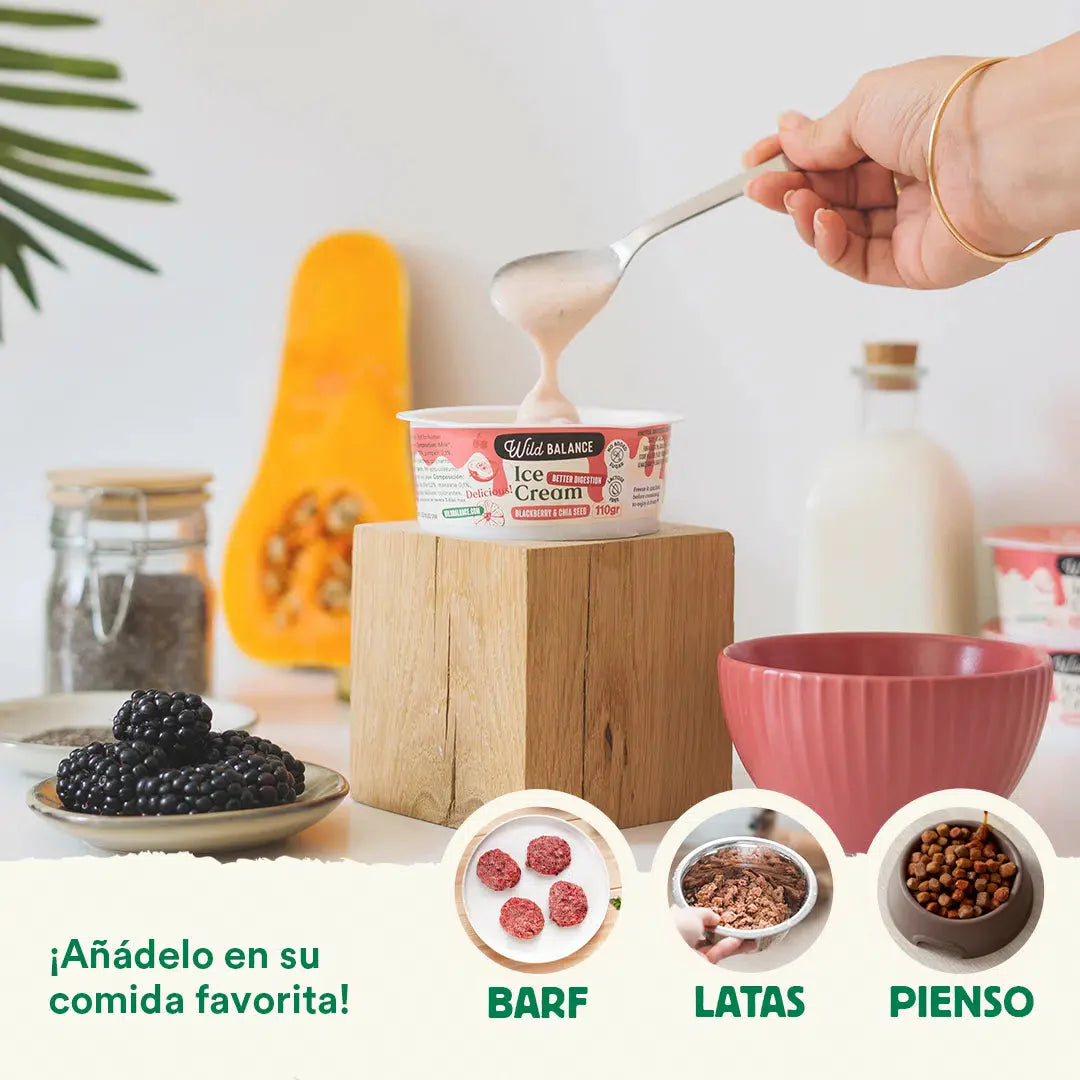 Wild Balance Frozen Yogurt – Blackberry & Chia – Lactose-Free