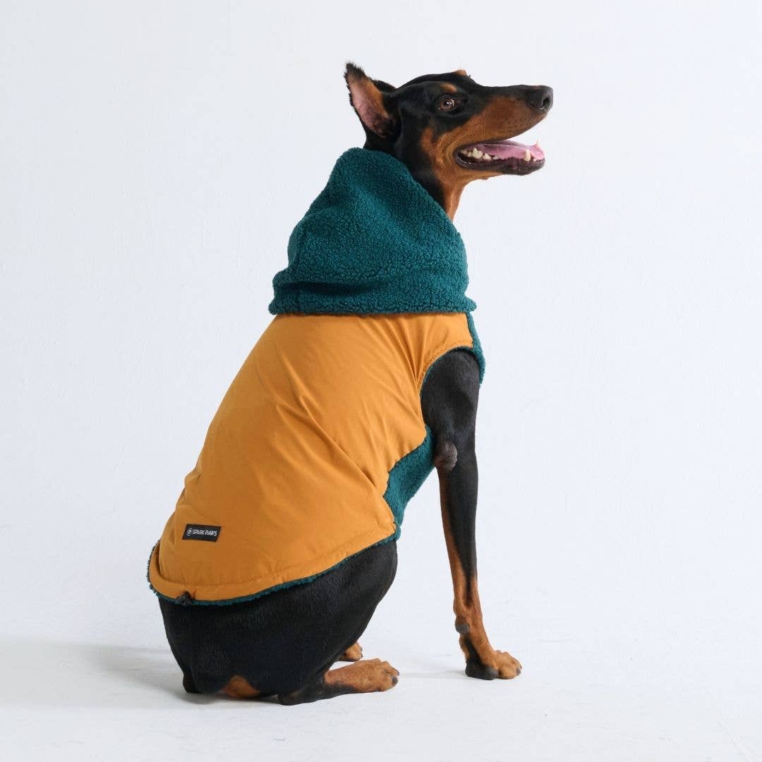 Spark Paws - Reversible Jacket - Green and Orange