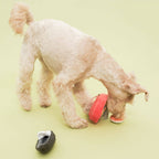 The Furryfolks – Tinned Mussel – Dog Interactive Nosework Toy