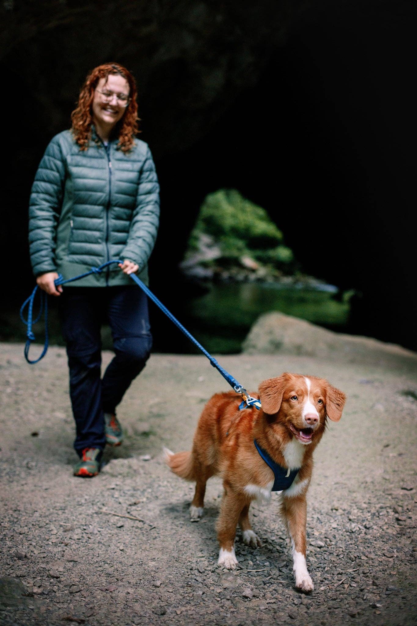Woolly Wolf – Roam Harness – Recycled RPET