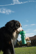 Springland – Flip Green – Portable Travel Bottle 590ML