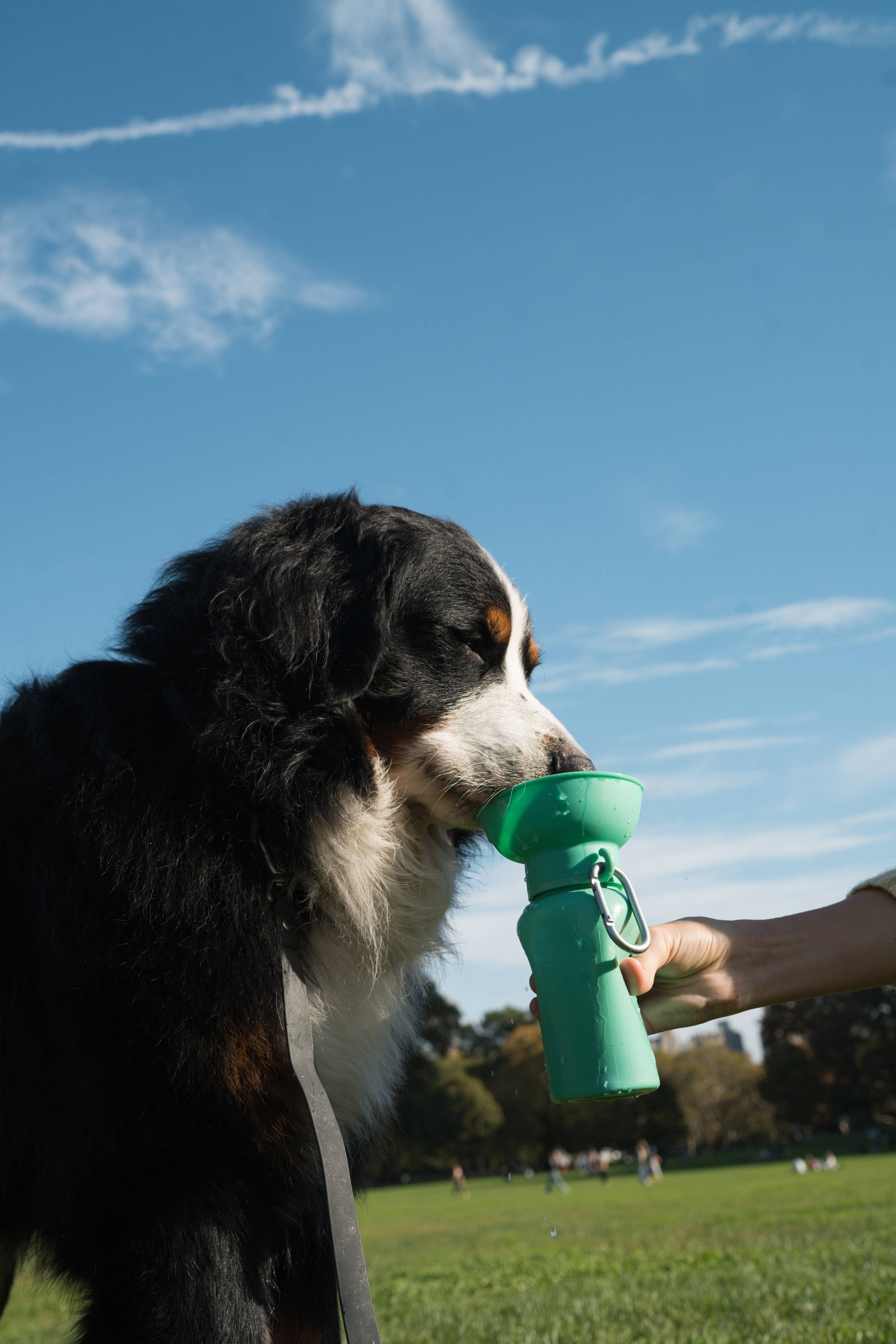 Springland – Flip Green – Portable Travel Bottle 590ML