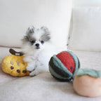 Lambwolf – Watermelon Pop – Enrichment Dog Toy