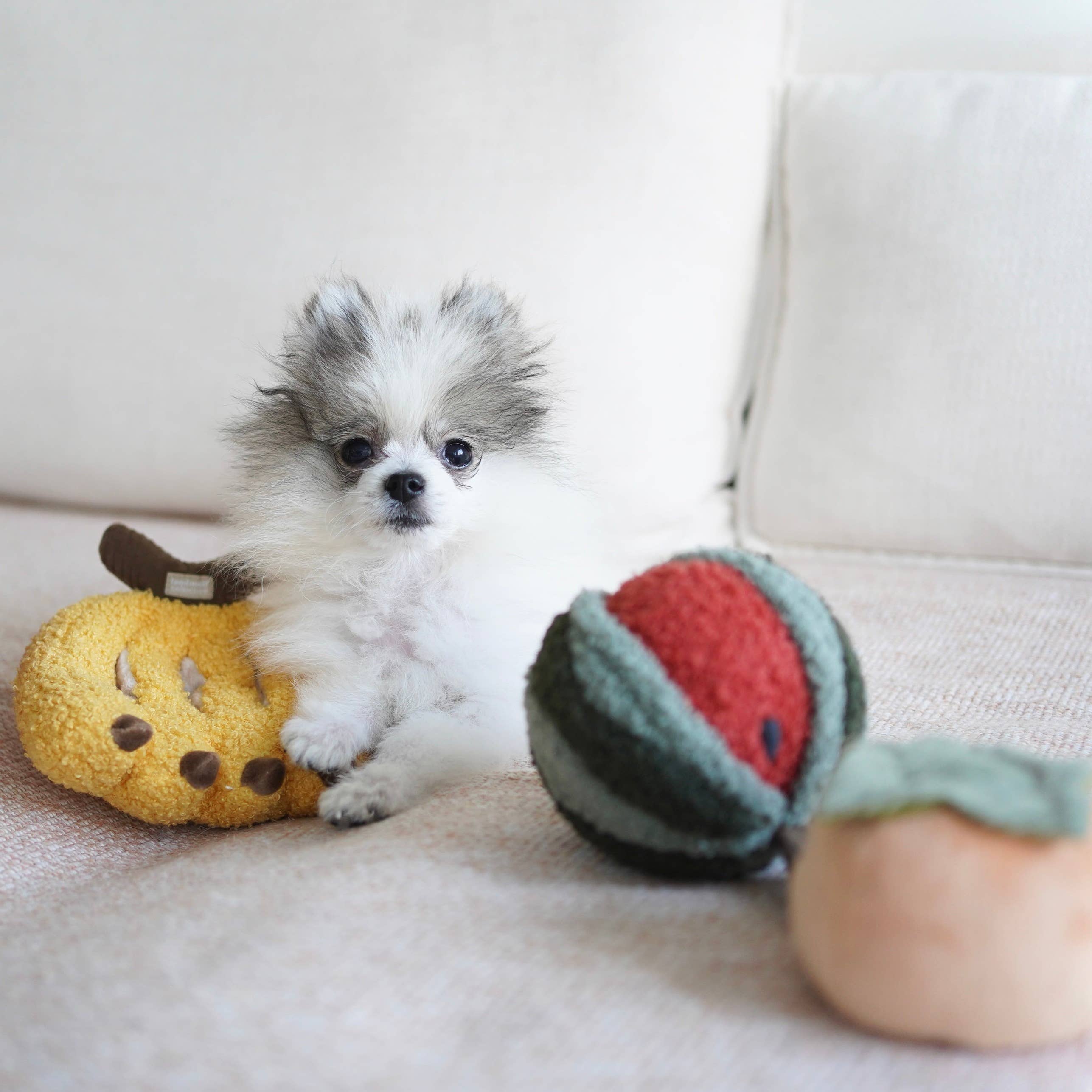 Lambwolf – Watermelon Pop – Enrichment Dog Toy