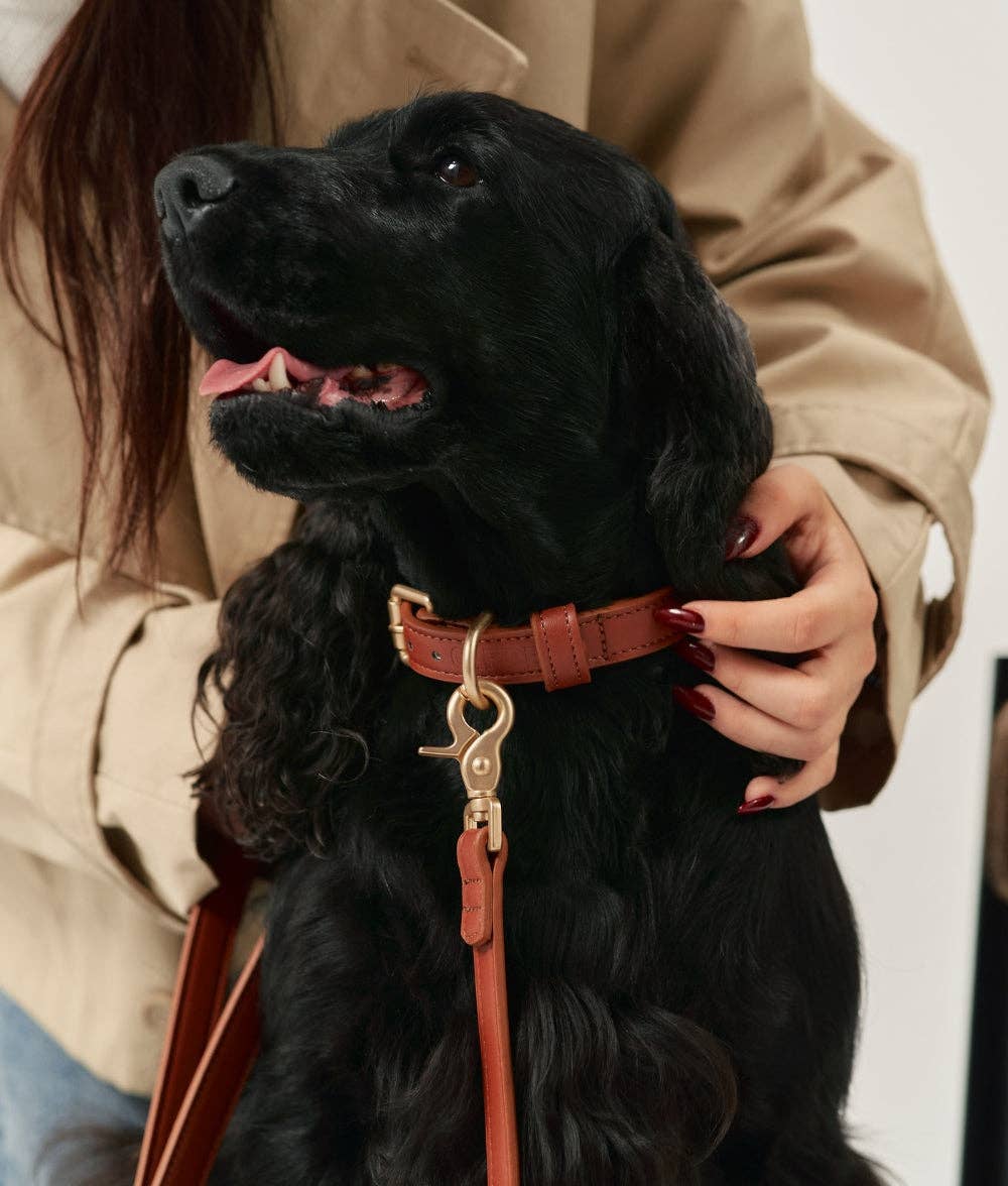 CAFIDE – Jala Leash Brown – Vegan Leather