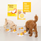 The Furryfolks – Egg Cellent – Dog Interactive Nosework Toy