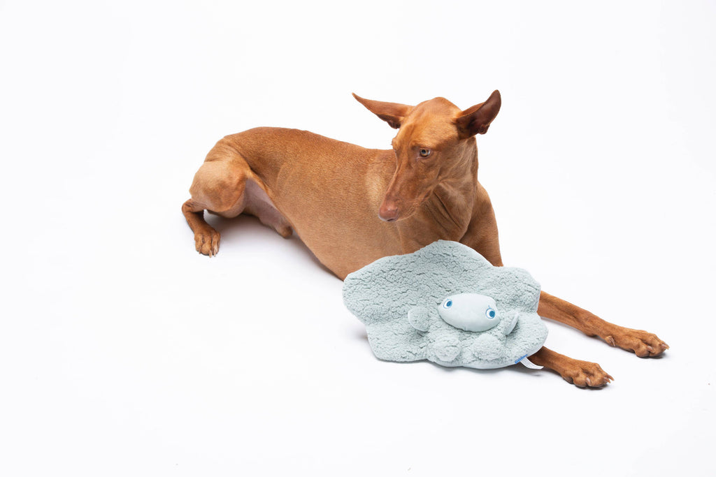 United Pets – Mok Mok – Anti Stress Plush Dog Toy With Essential Oils
