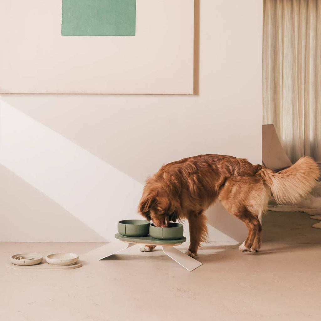 Pino – Classic Dog Bowl – Ultra-durable Sandstone & Hypoallergenic