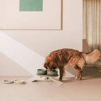 Pino – Classic Dog Bowl – Ultra-durable Sandstone & Hypoallergenic