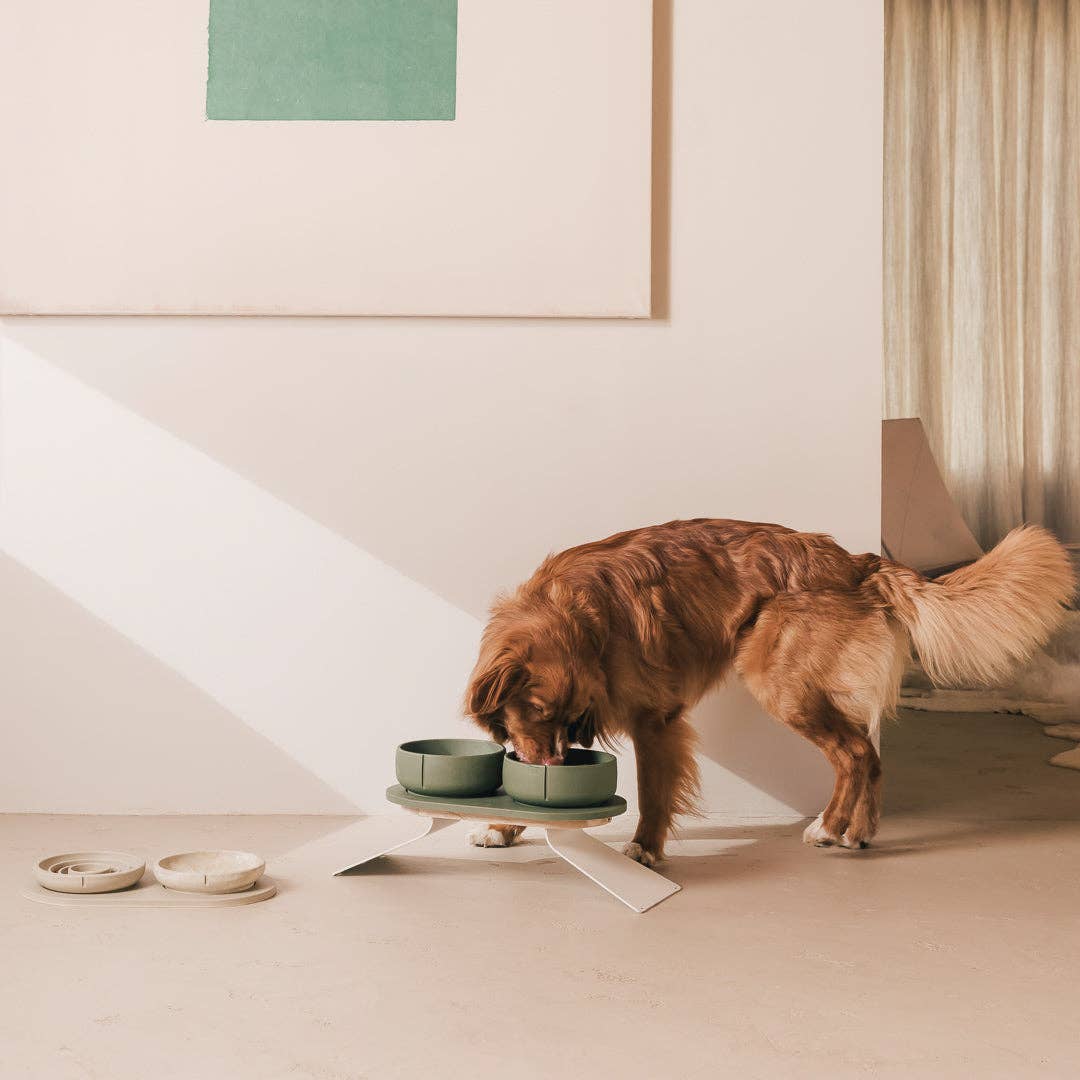 Pino – Classic Dog Bowl – Ultra-durable Sandstone & Hypoallergenic