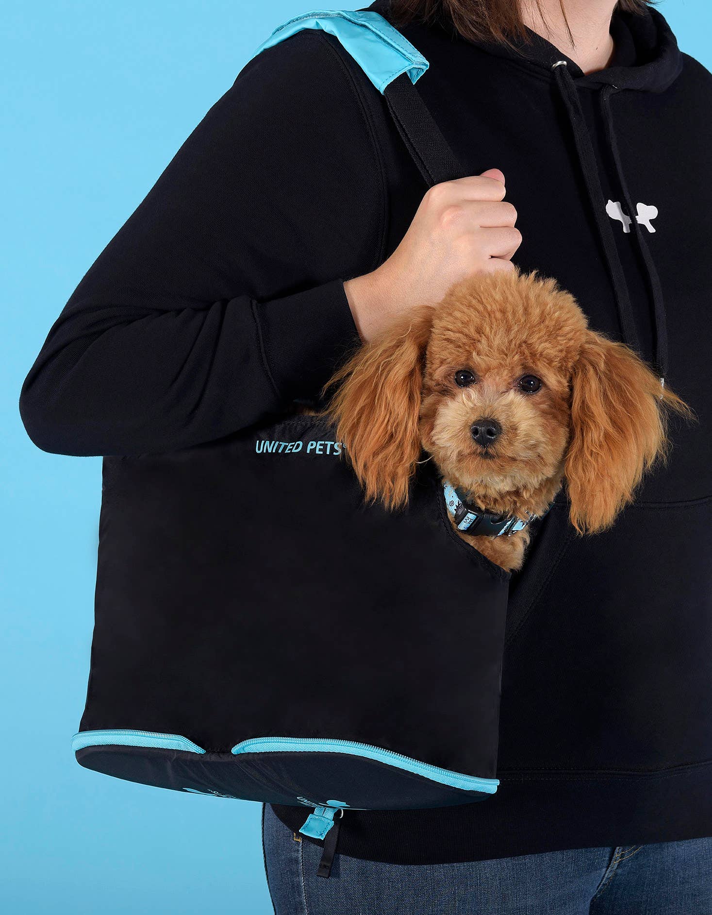 United Pets – Lazy Dog Bag Verde – Bolsa de transporte plegable