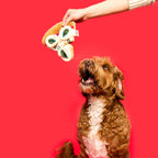 The Furryfolks – Pizza – Dog Interactive Nosework Toy