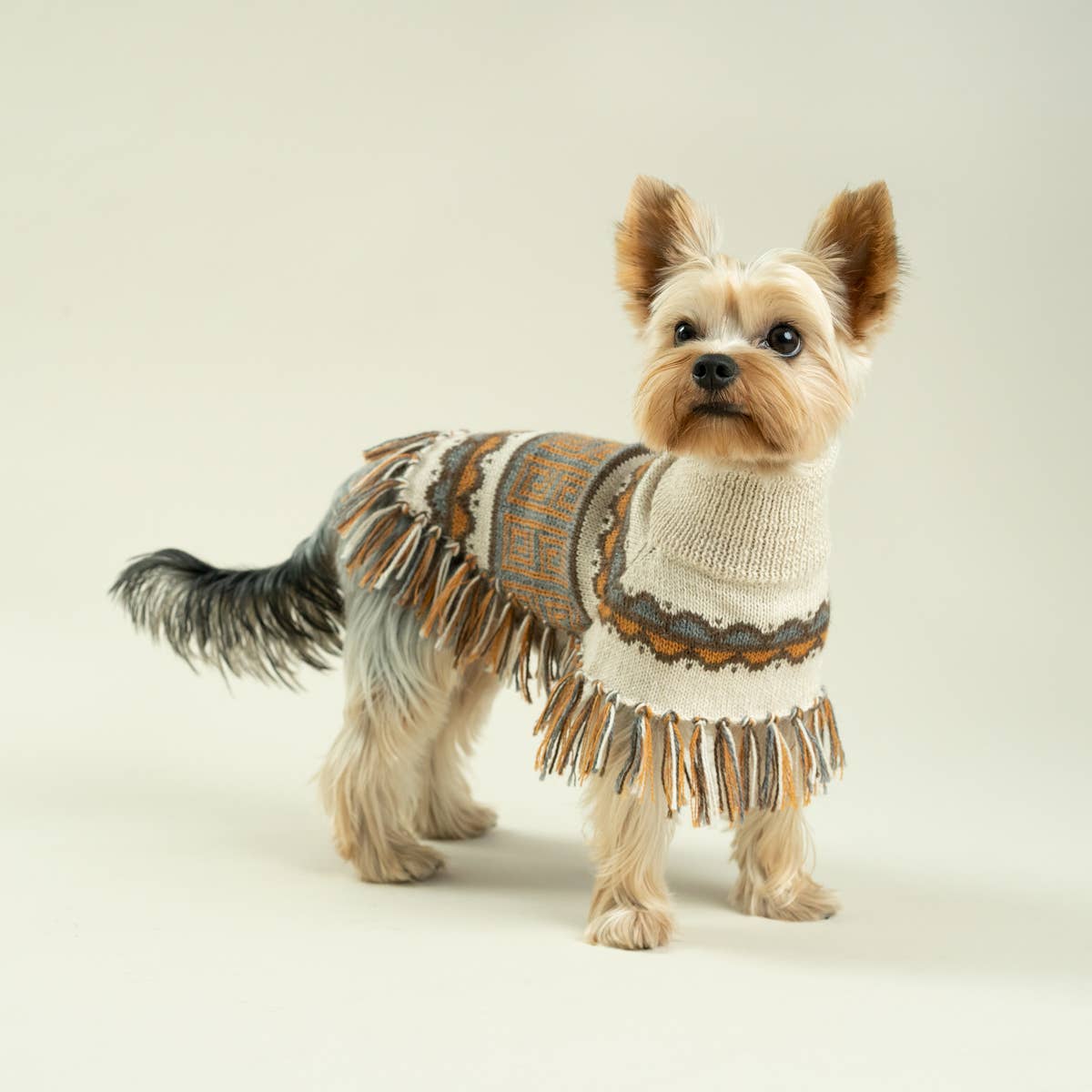 Alqo Wasi - Pisac Alpaca Dog Poncho