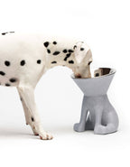 United Pets – Elizabeth – Raised Dog Bowl 1.1L