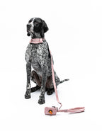 United Pets – Citylife Leash Pink  – Padded Handle
