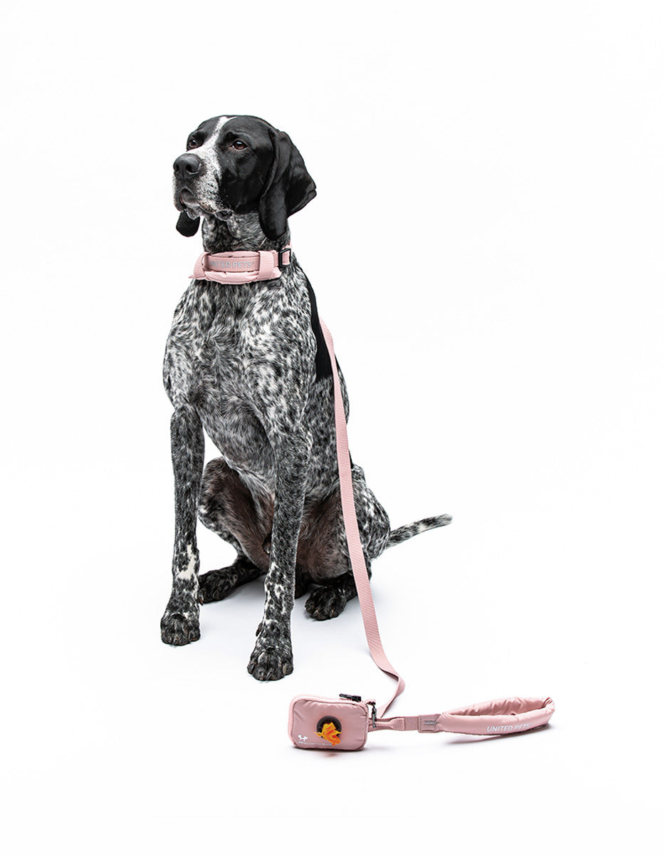 United Pets – Citylife Leash Pink  – Padded Handle