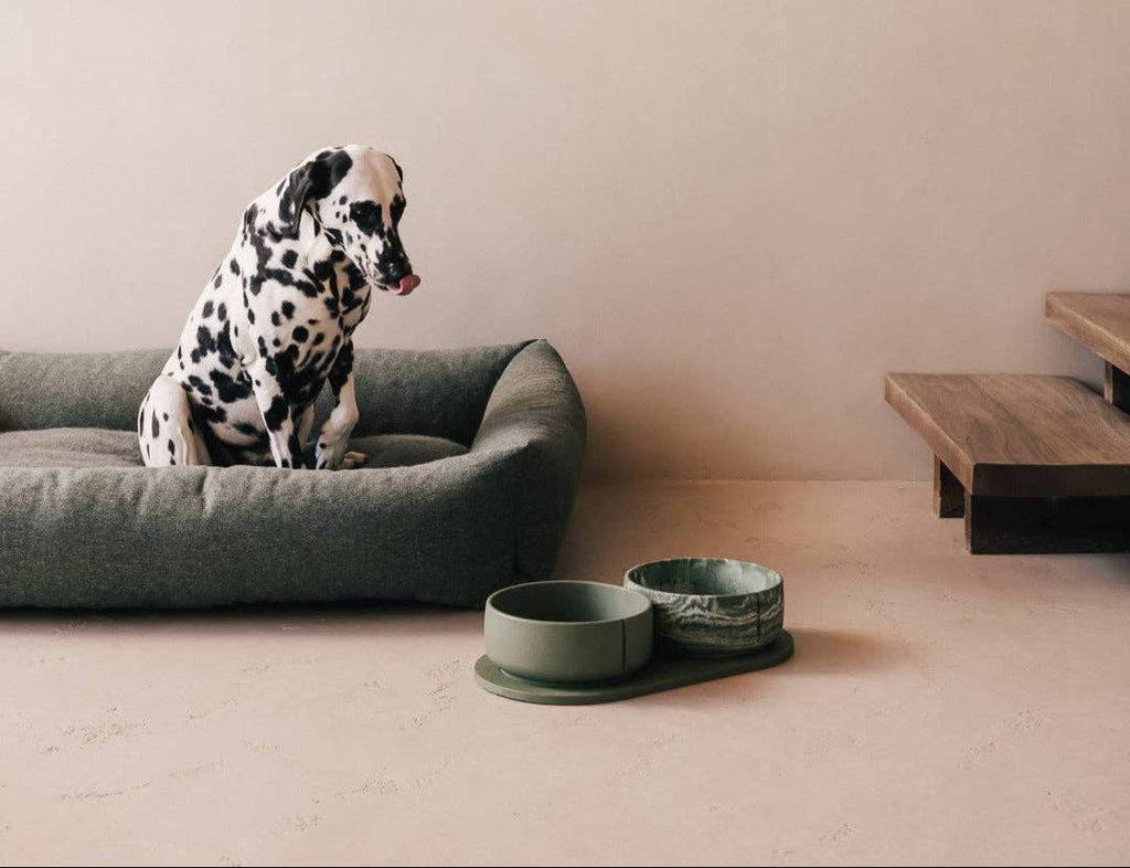 Pino – Classic Dog Bowl – Ultra-durable Sandstone & Hypoallergenic