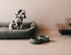 Pino – Classic Dog Bowl – Ultra-durable Sandstone & Hypoallergenic