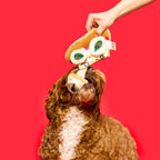 The Furryfolks – Pizza – Dog Interactive Nosework Toy