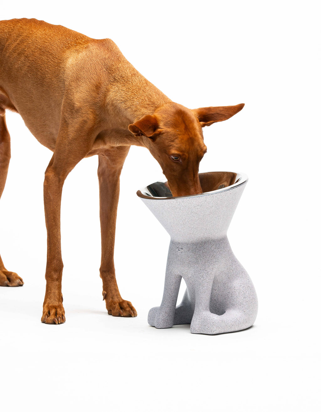 United Pets – Elizabeth – Raised Dog Bowl 1.1L