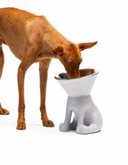 United Pets – Elizabeth – Raised Dog Bowl 1.1L