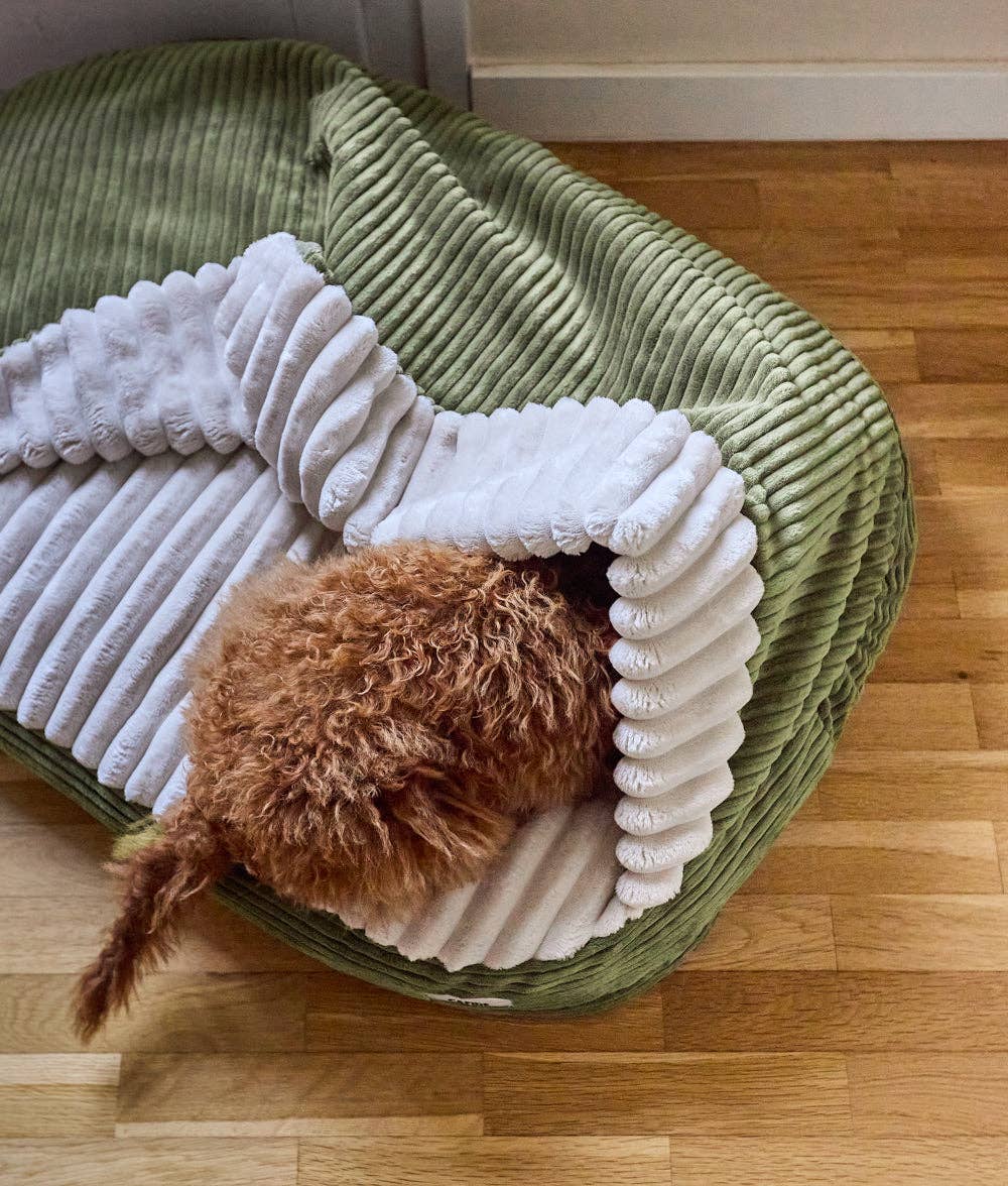 CAFIDE - Cama con Capucha de Pana Verde, Maso