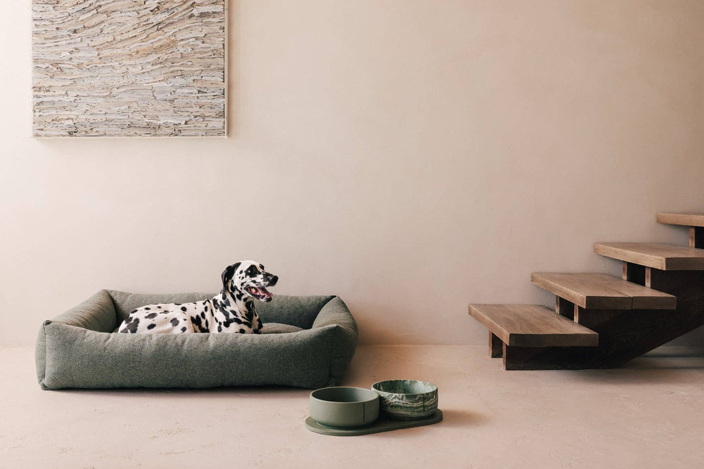 Pino – Classic Dog Bowl – Ultra-durable Sandstone & Hypoallergenic