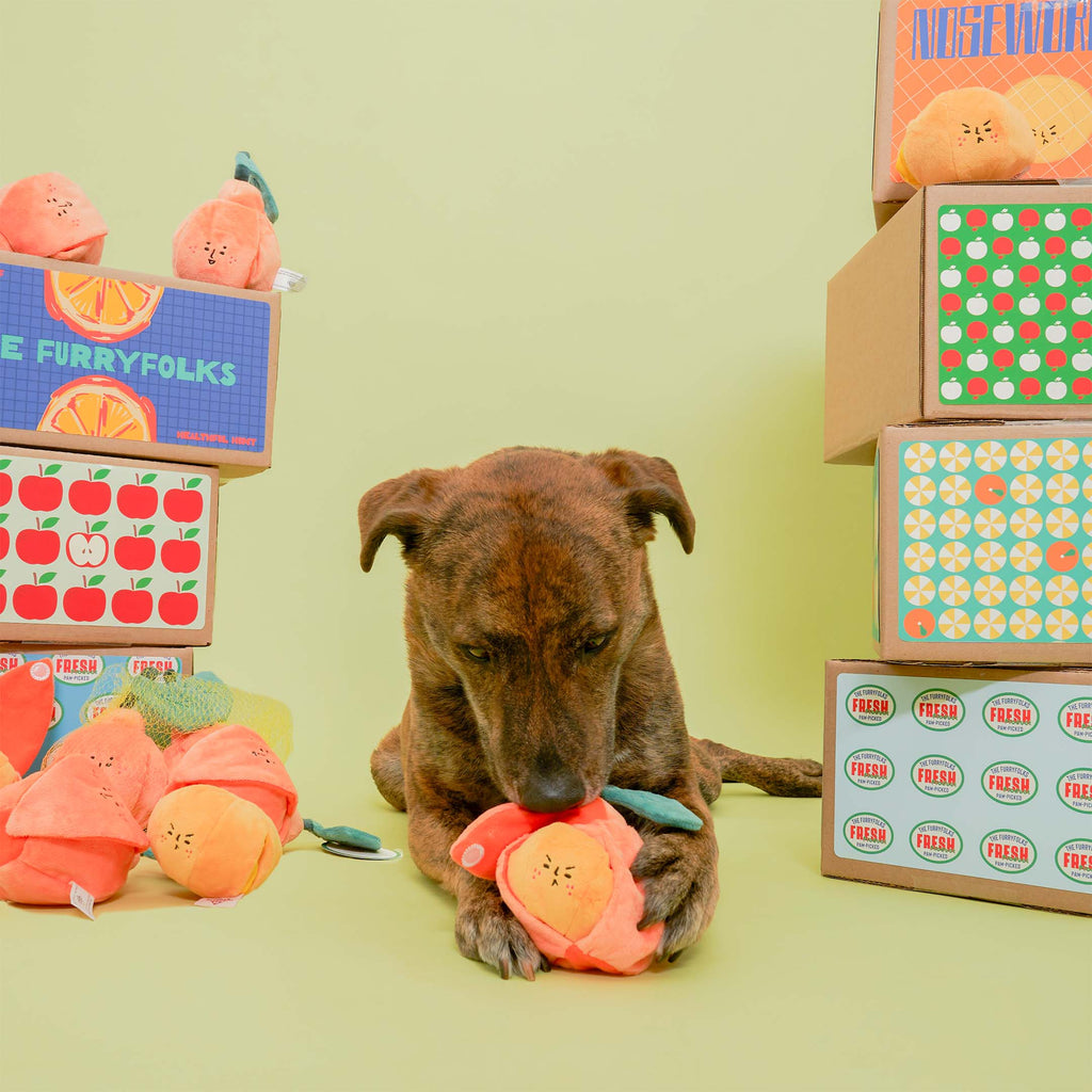 The Furryfolks – Orange – Dog Interactive Nosework Toy