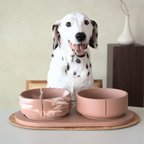 Pino – Classic Bowl – Non-Slip Sandstone & Hypoallergenic