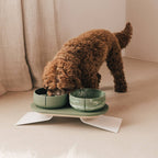 Pino – Classic Dog Bowl – Ultra-durable Sandstone & Hypoallergenic