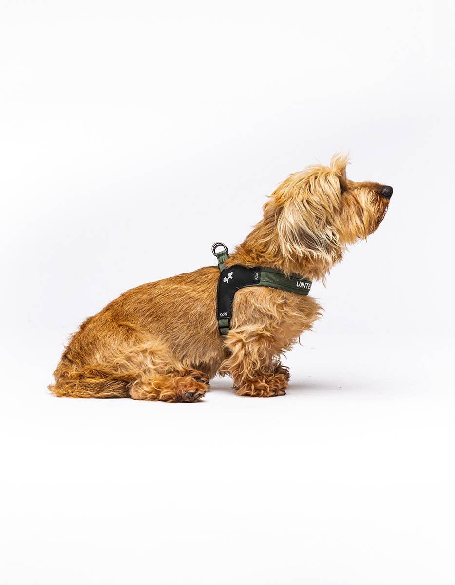 United Pets – Citylife Harness Green – Fast Fit
