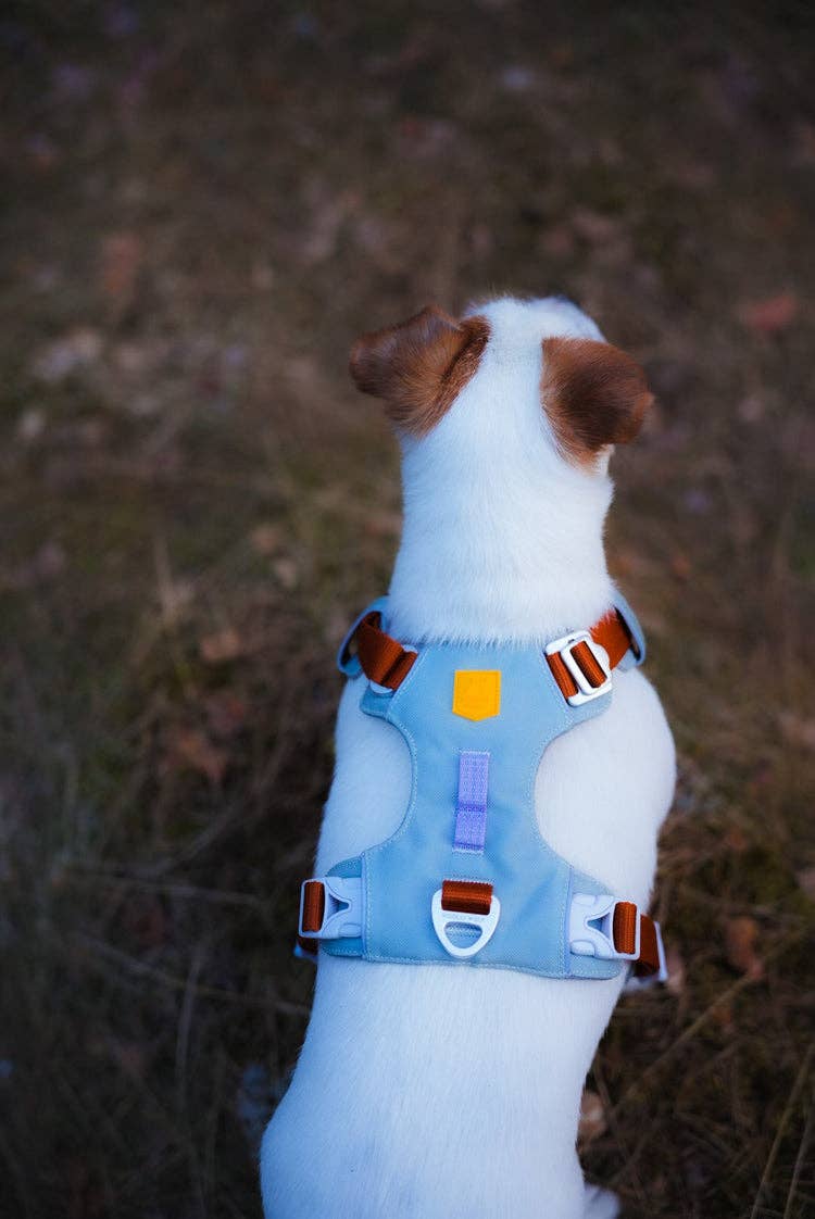Woolly Wolf – Alpha 360 Harness – Recycled RPET