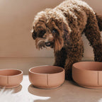 Pino – Classic Dog Bowl – Ultra-durable Sandstone & Hypoallergenic