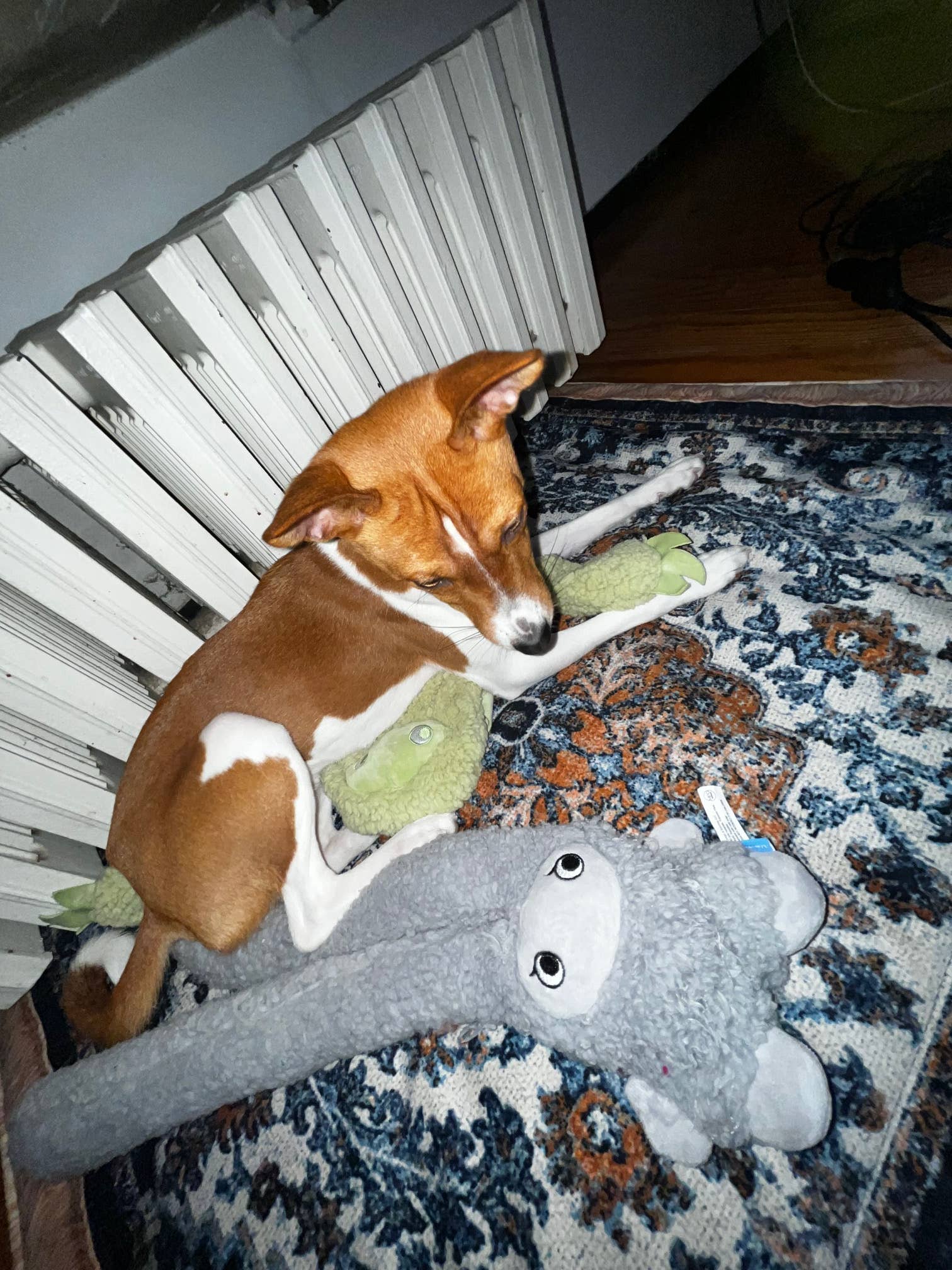 United Pets – Rosicchio – Anti Stress Plush Dog Toy With Essential Oils