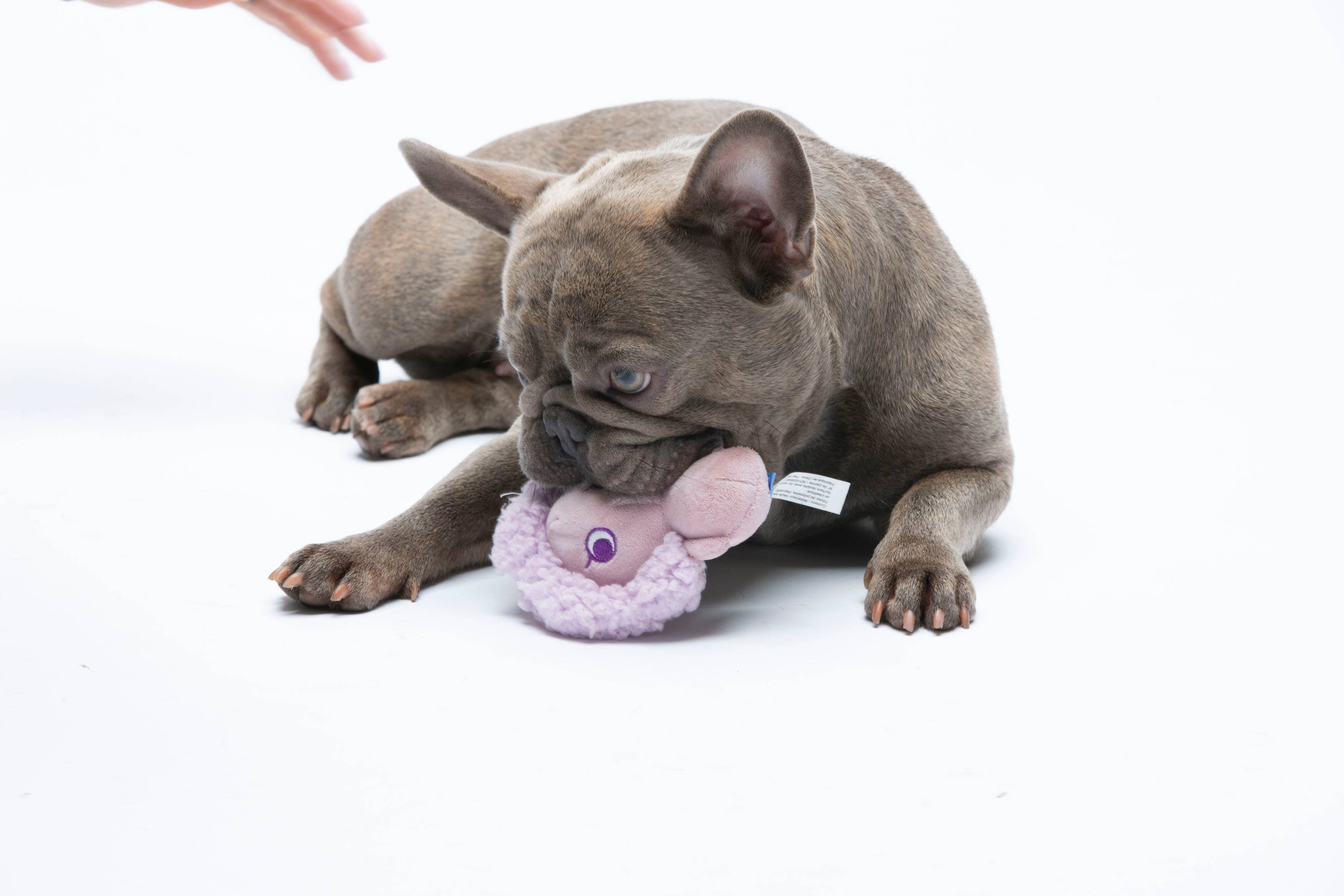 United Pets – Fancy – Anti Stress Plush Dog Toy With Essential Oils