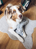 United Pets – Rosicchio – Anti Stress Plush Dog Toy With Essential Oils