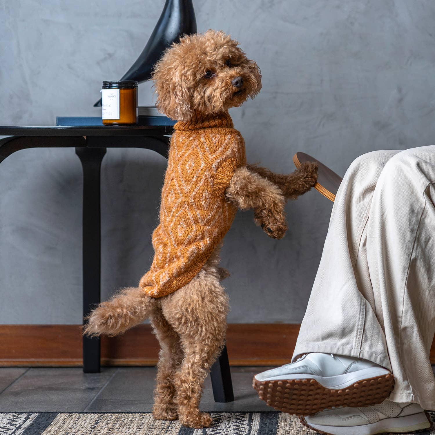 Alqo Wasi - Golden Ochre Alpaca Dog Sweater