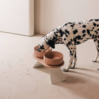 Pino – Classic Dog Bowl – Ultra-durable Sandstone & Hypoallergenic