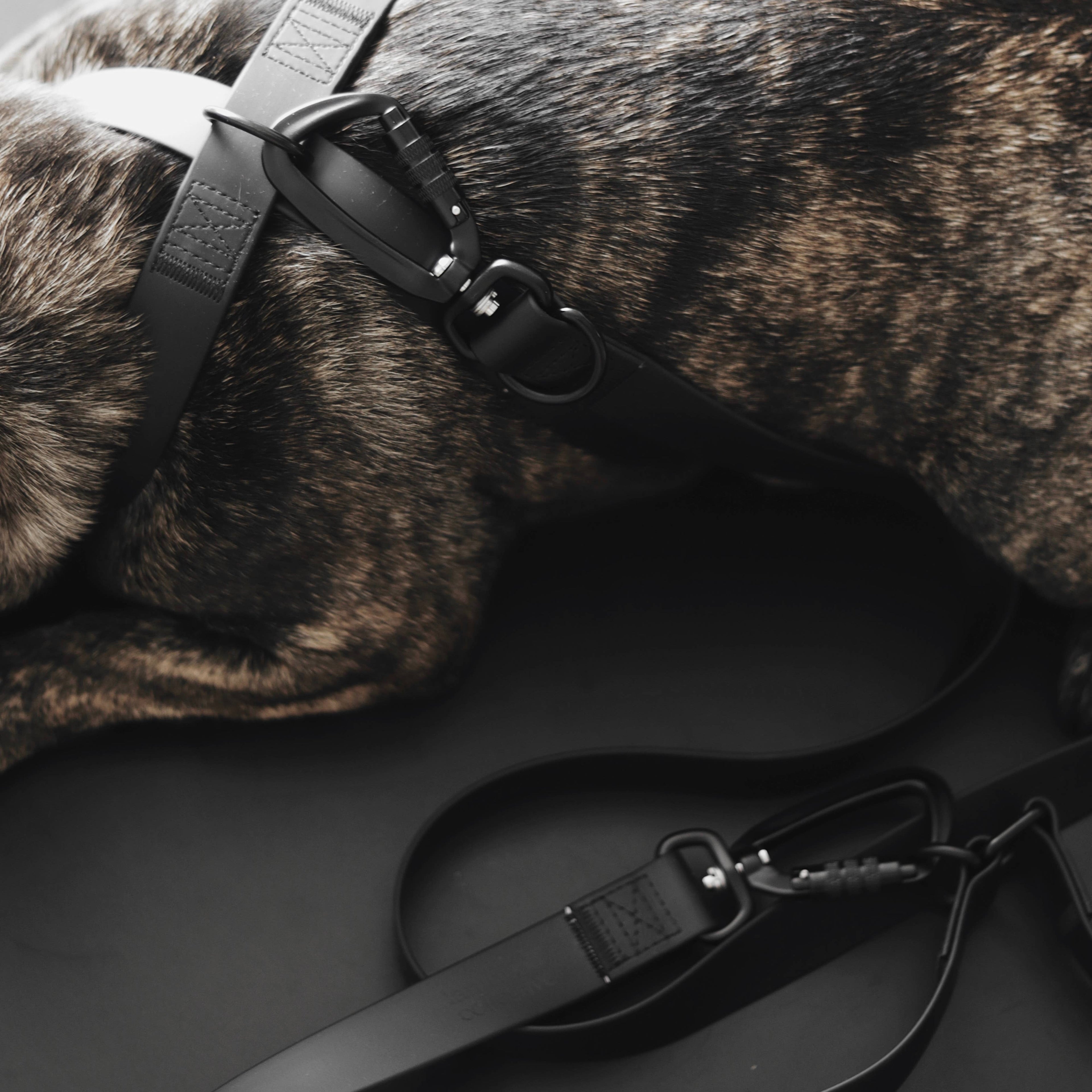Lambwolf – Mellem Leash – Waterproof