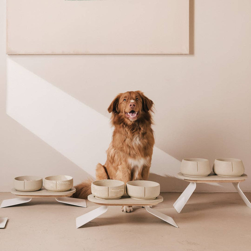 Pino – Classic Dog Bowl – Ultra-durable Sandstone & Hypoallergenic
