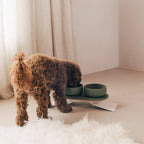 Pino – Cuenco Clásico para Perros – Ultra-durable Arenisca & Hipoalergénico