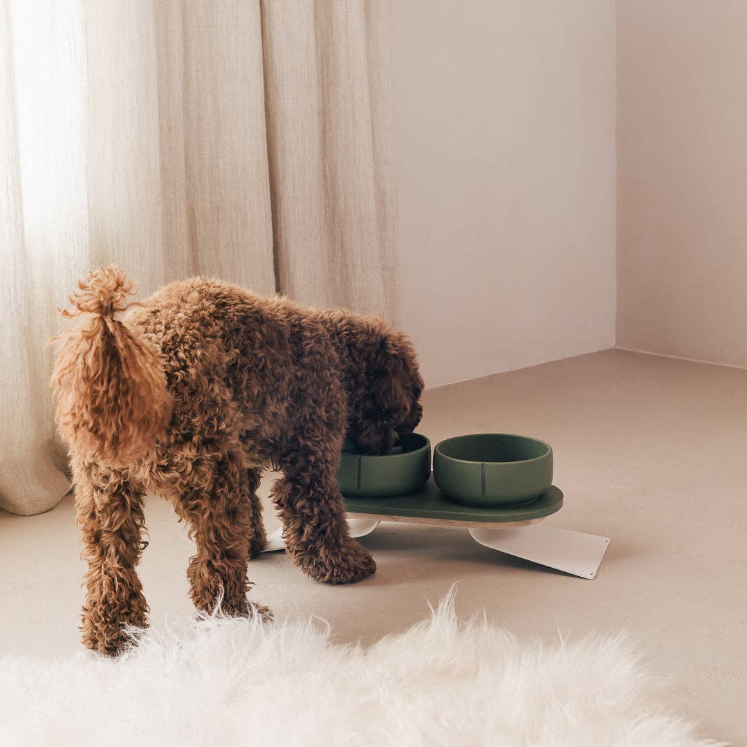 Pino – Cuenco Clásico para Perros – Ultra-durable Arenisca & Hipoalergénico