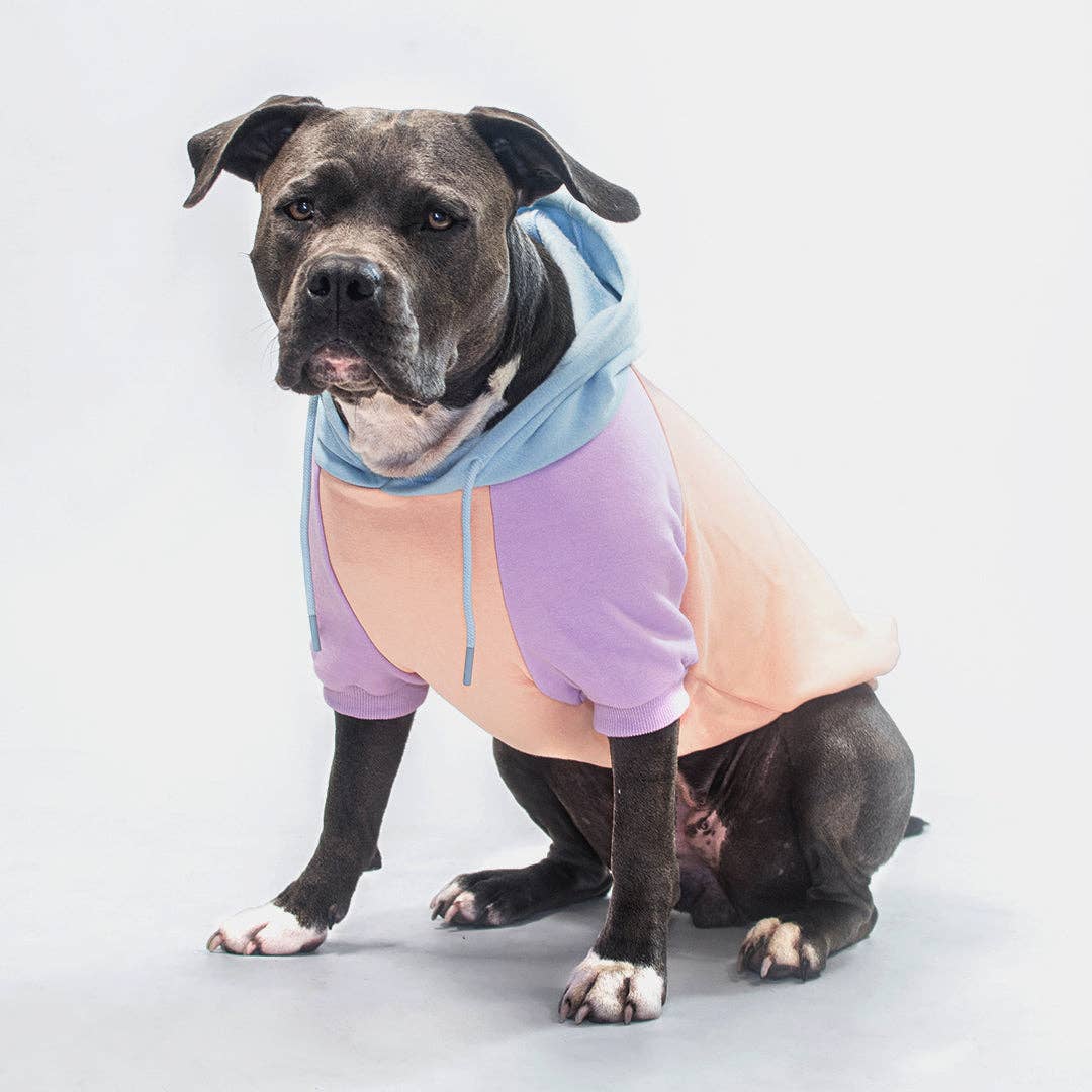 Spark Paws - Cotton Candy Dog Hoodie