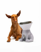 United Pets – Elizabeth – Raised Dog Bowl 1.1L