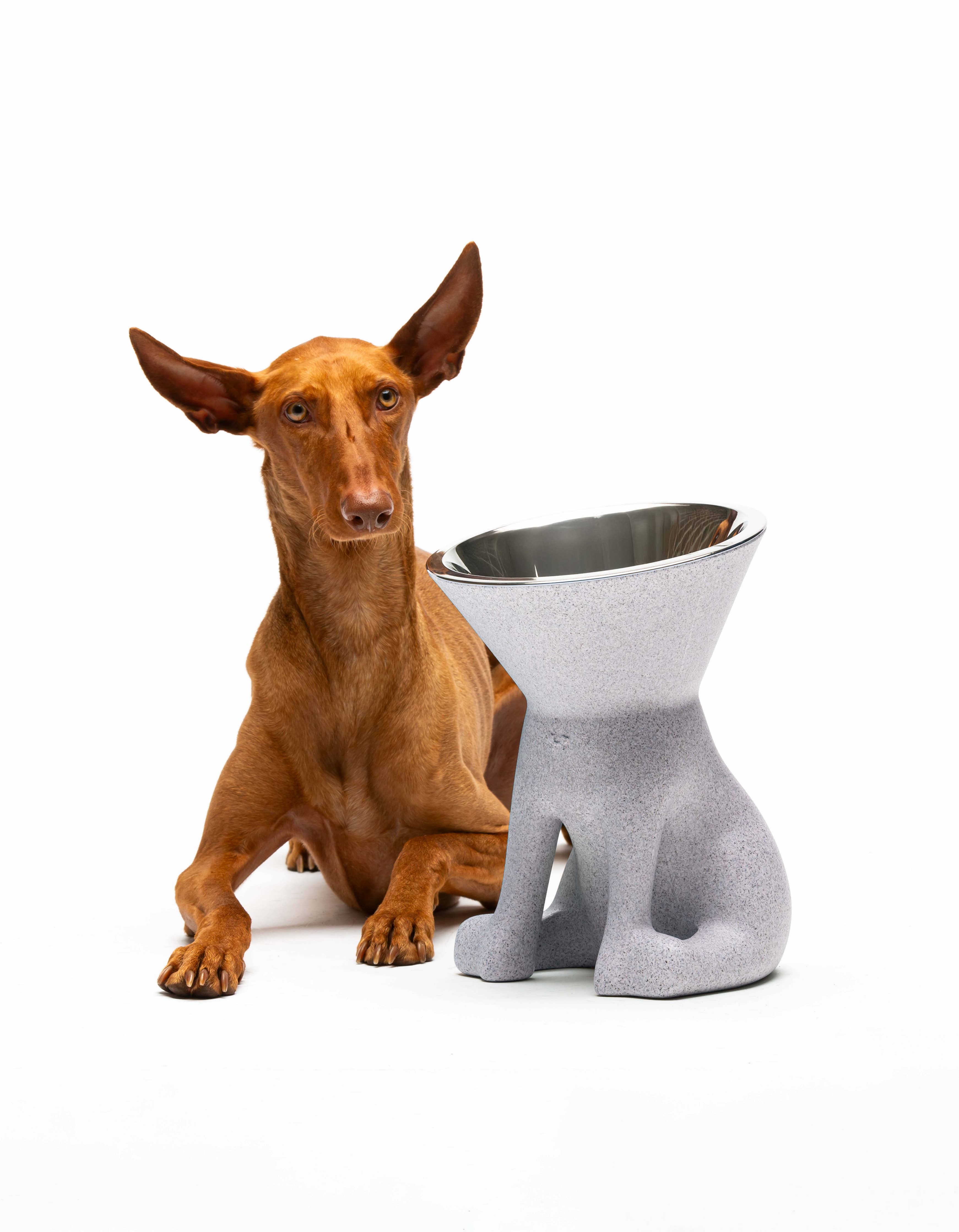 United Pets – Elizabeth – Raised Dog Bowl 1.1L