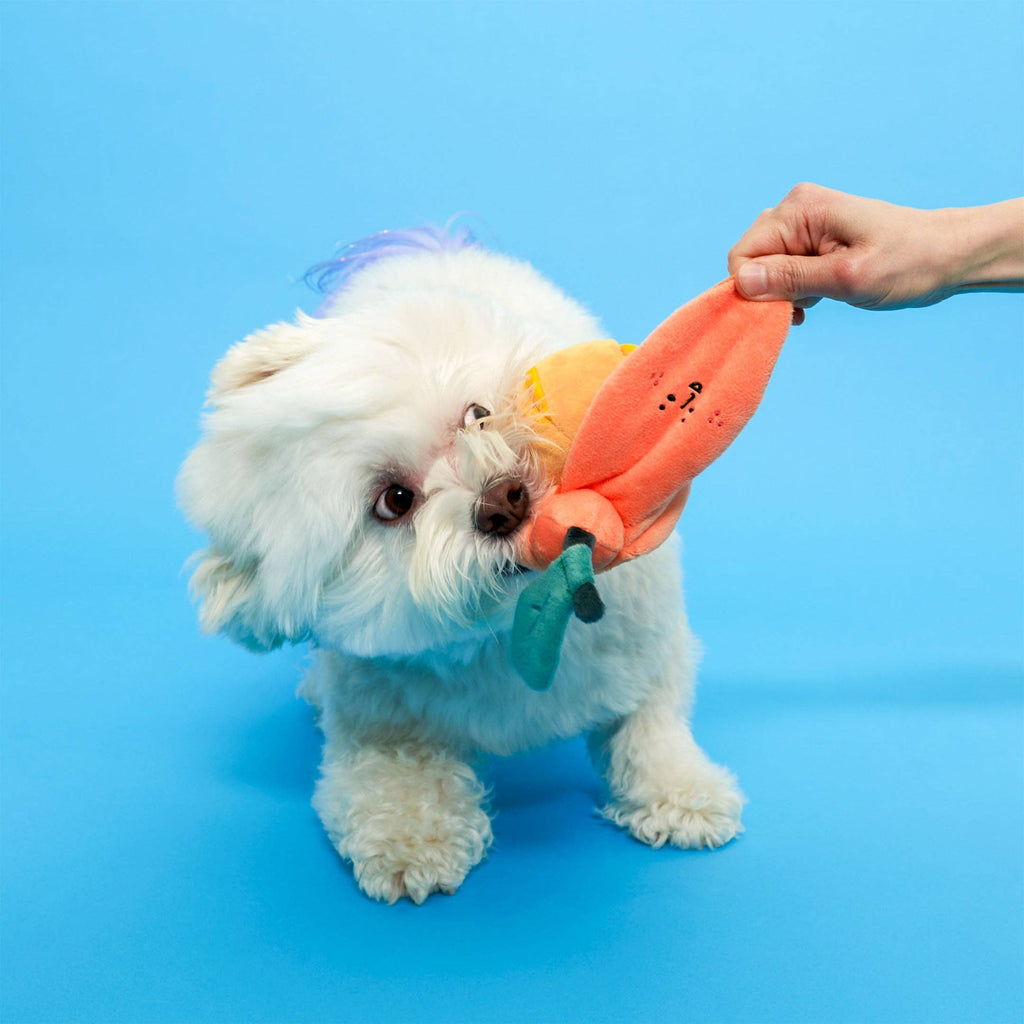 The Furryfolks – Orange – Dog Interactive Nosework Toy